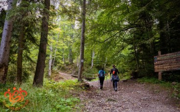 012-Două fete intră în pădure pe traseul bandă albastră spre cabana Mălăiești