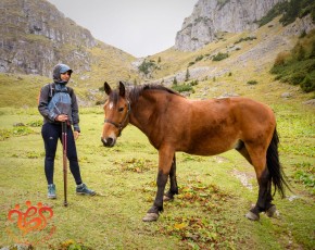 046-O femeie și un cal lângă cabana Mălăiești